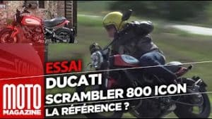 Ducati Scrambler 800 Icon 2019 - Toujours la référence